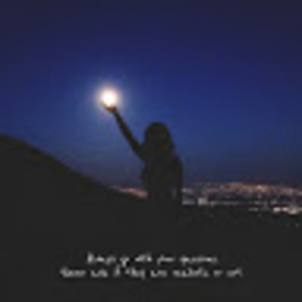 Meet your Posher, Cheyenne